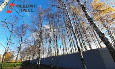 Суд 8 декабря рассмотрит дело Муринского парка в Петербурге: Застроить или благоустроить?