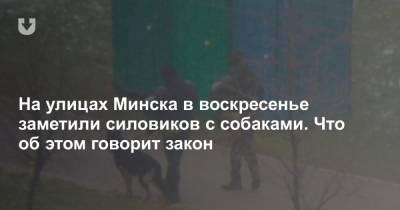 На улицах Минска в воскресенье заметили силовиков с собаками. Что об этом говорит закон