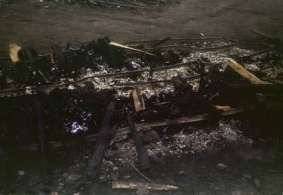 В Подмосковье трое мужчин убили и сожгли целую семью
