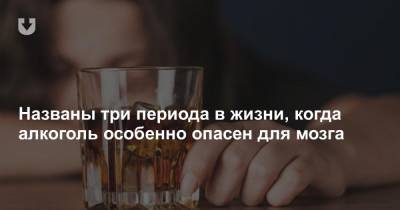 Названы три периода в жизни, когда алкоголь особенно опасен для мозга