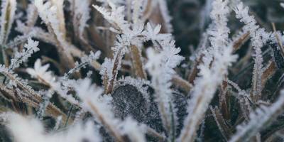 Погода в Украине: синоптик прогнозирует морозы до -17 и сильный штормовой ветер
