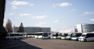 В Калининграде отменили автобус до Куршской косы - klops.ru - Калининград - Светлогорск - Краснознаменск - Балтийск