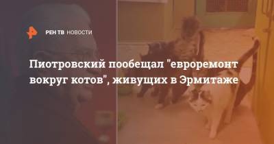 Пиотровский пообещал "евроремонт вокруг котов", живущих в Эрмитаже
