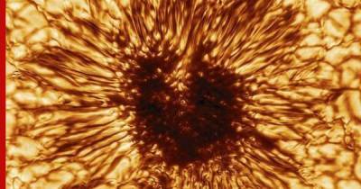 Астрономы получили самое детальное изображение Солнца