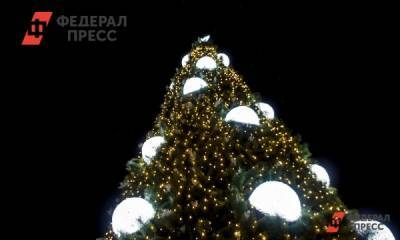 В центре Саратова могут установить ель за 20 миллионов рублей