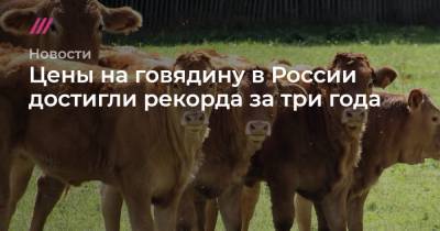 Цены на говядину в России достигли рекорда за три года
