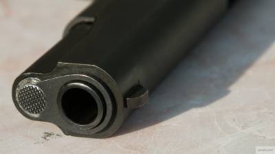 Шестилетняя девочка ранила себя из отцовского пистолета в Сестрорецке