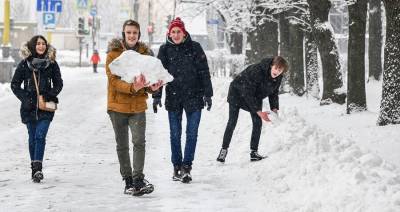 Москвичам пообещали снег не раньше второй половины декабря