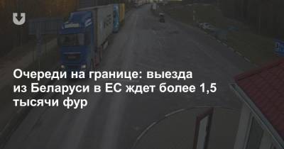 Очереди на границе: выезда из Беларуси в ЕС ждет более 1,5 тысячи фур