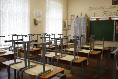 400 классов в школах Петербурга ушли на дистанционное обучение