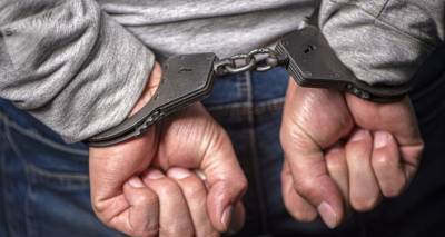 В Кахети задержали обвиняемого в педофилии - видео