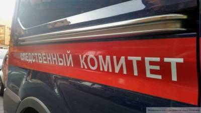 СК расследует налоговое преступление на 117 млн рублей в Михайловске