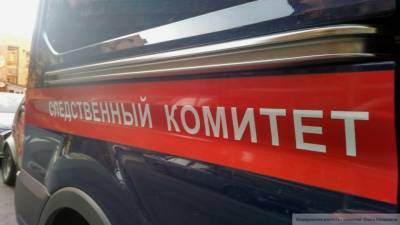 СК выясняет обстоятельства нападения на 11-летнюю девочку в Нижневартовске