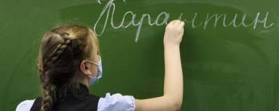 Пять школ в Новгородской области закрылись из-за коронавируса и ОРВИ