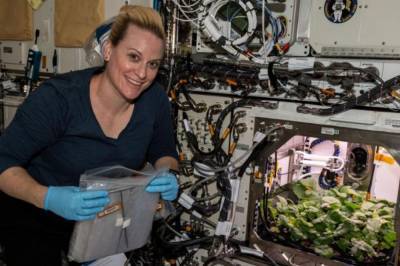 Астронавты собрали первый урожай редиса на МКС