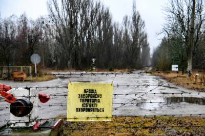 В Чернобыльской зоне запустят 4G: как это будет спасать от пожаров