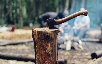Бизнесмен из Башкирии уничтожил лес