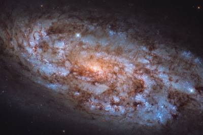 Телескоп Hubble сделал снимок "звездной кузницы"