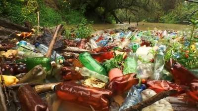 Закарпатье: кто расчистит мусорные заторы на реках?