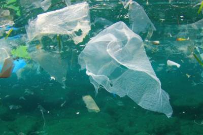 В Украине хотят штрафовать за использование пластиковых пакетов