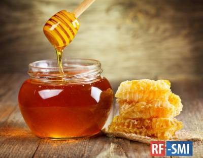 Украина экспортировала рекордное количество мёда