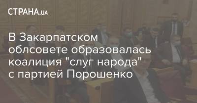 В Закарпатском облсовете образовалась коалиция "слуг народа" с партией Порошенко