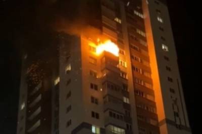 В Нижегородской области произошёл пожар в 25-этажном доме