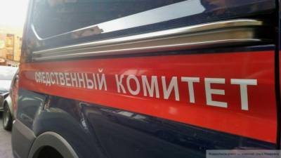 Бывшие сожители найдены мертвыми в автомобиле в Рязанской области