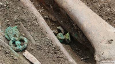 Женский скелет с золотыми сережками нашли у реки в Ленобласти