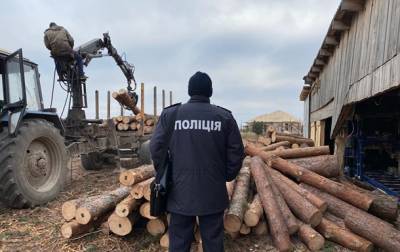 На Волыни полиция провела 10 обысков по подозрению в незаконной порубке лес