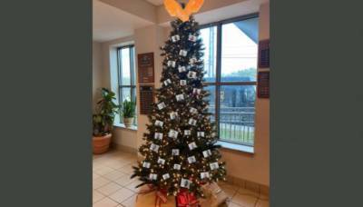 Правозащитники раскритиковали рождественскую елку в офисе шерифа Алабамы, украшенную фото арестантов