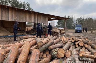 Паллеты, древесина и пульты управления: На Волыни проводят массовые обыски по незаконной порубке леса