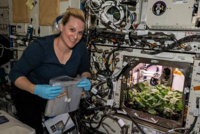 Астронавтка NASA собрала в космосе первый урожай редиса: историческое видео