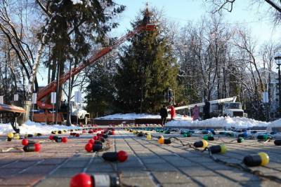 Тысячей шаров и сотней метров гирлянд украсят главную новогоднюю елку в Брянске