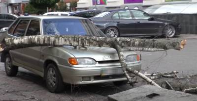 Ломал деревья, как спички и сметал авто: ураган во Львове натворил больших бед