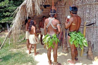 В Амазонии ученые обнаружили древние деревни в виде циферблата часов