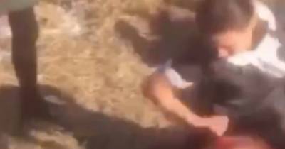 В Приморье проверяют видео с избиением девочки на глазах у сверстников