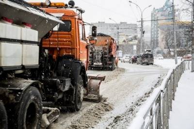 Депутат Пинус предложила тратить деньги не на праздники, а на уборку снега в Новосибирске