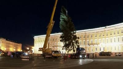 Символ новогоднего чуда: Как в Петербурге устанавливали главную городскую елку?