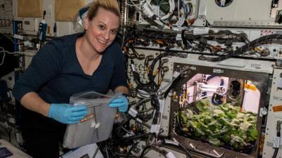 Астронавтка NASA собрала на МКС первый урожай космического редиса