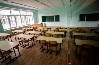 В школах Хабаровска 70 классов закрыты на карантин