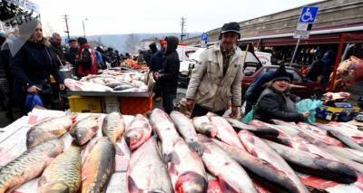 Государство поможет расширить рыболовный флот Грузии