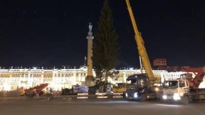 На Дворцовой установили новогоднюю 25-метровую ель