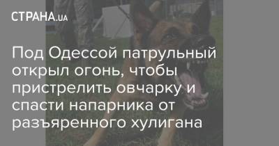 Под Одессой патрульный открыл огонь, чтобы пристрелить овчарку и спасти напарника от разъяренного хулигана
