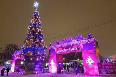 На главной новогодней ярмарке Петербурга не будет катка и карусели