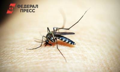 Памятник комару в Ноябрьске вышел в финал проекта «СкульпТУТУра»