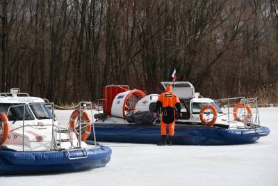 Вмерзшую в лед утку на Химкинском водохранилище вытащили спасатели