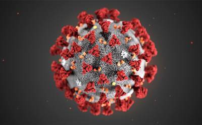 Ученые объяснили уязвимость человека перед коронавирусом