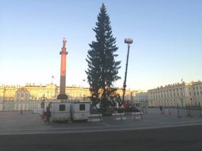 На Дворцовой площади установили новогоднюю ель, пока она выглядит так