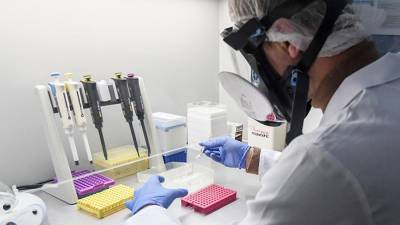 В Минздраве назвали число разрабатываемых в России вакцин от коронавируса